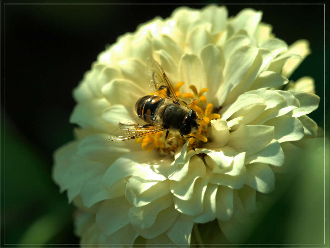 ���������� �������� ����� ������  �� PhotoGeek.ru #�����