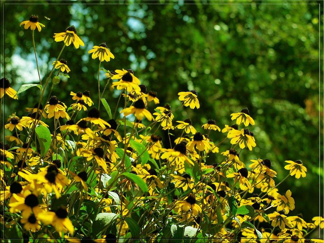 ��������� ����� ������  �� PhotoGeek.ru #������ ��� �������