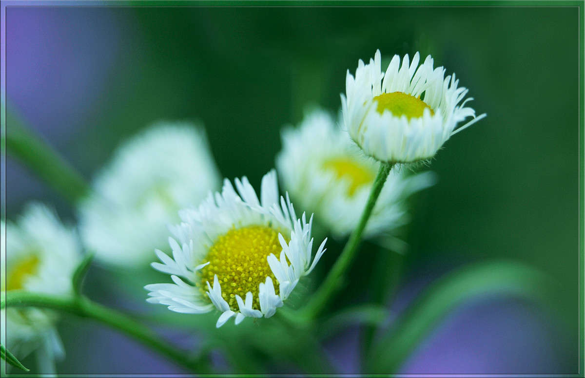 ���� � ���� ����� ������  �� PhotoGeek.ru #������ ��� �������