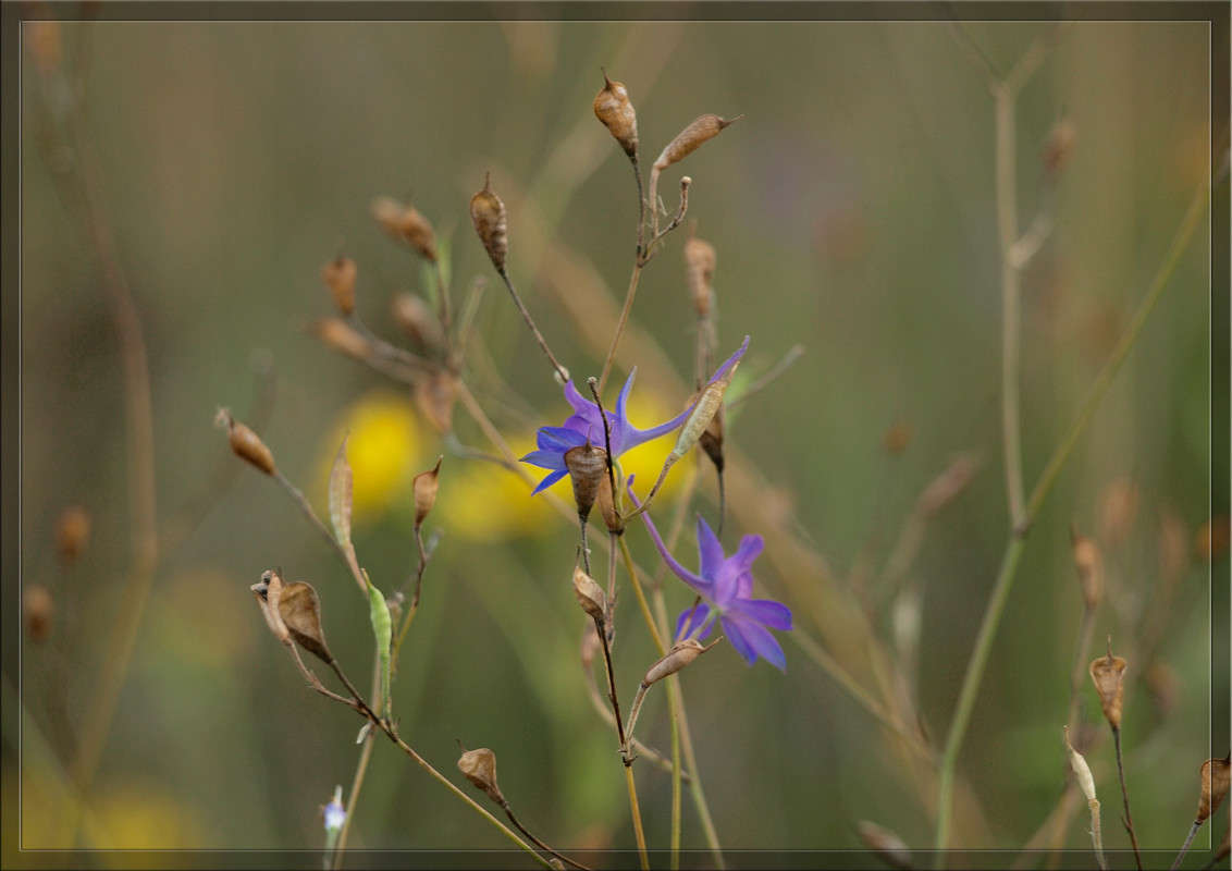 ��� �� �� ������ ����� ������  �� PhotoGeek.ru #������ ��� �������