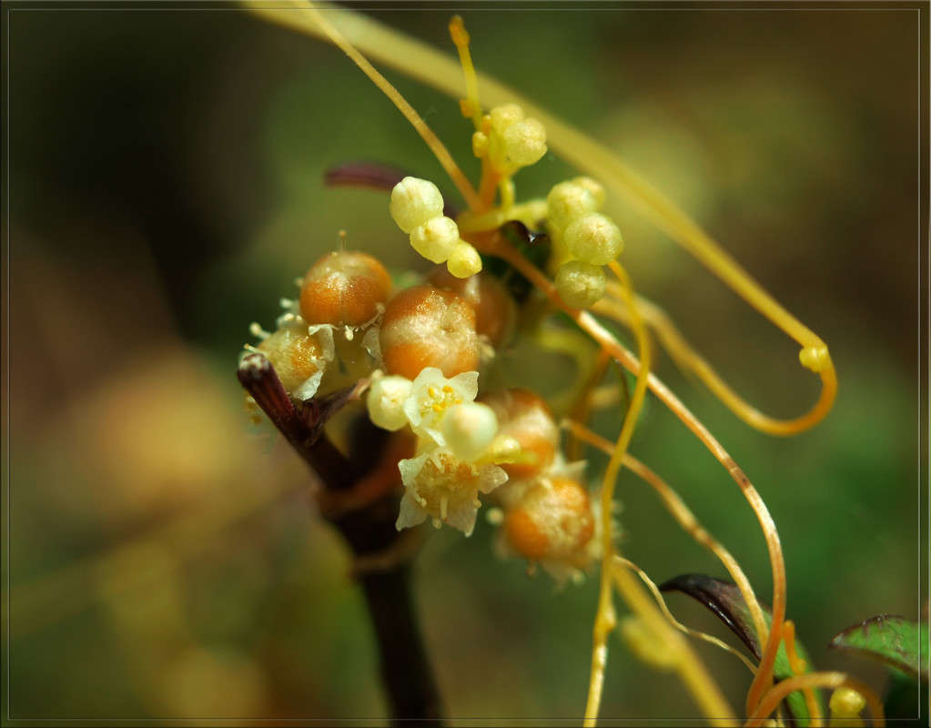 ������ � ������� ����� ������  �� PhotoGeek.ru #������ ��� �������