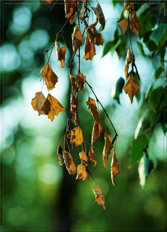 �� ���� ������ ����� ������  �� PhotoGeek.ru #������ ��� �������