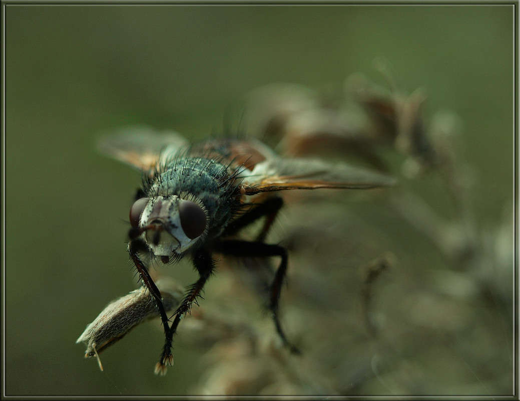 �������� ����� ����� ������  �� PhotoGeek.ru #�����