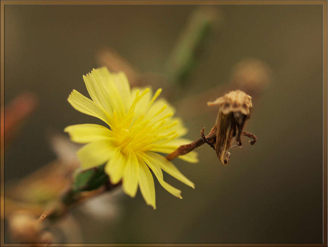 �������� � ���� �� ����� ������  �� PhotoGeek.ru #������ ��� �������