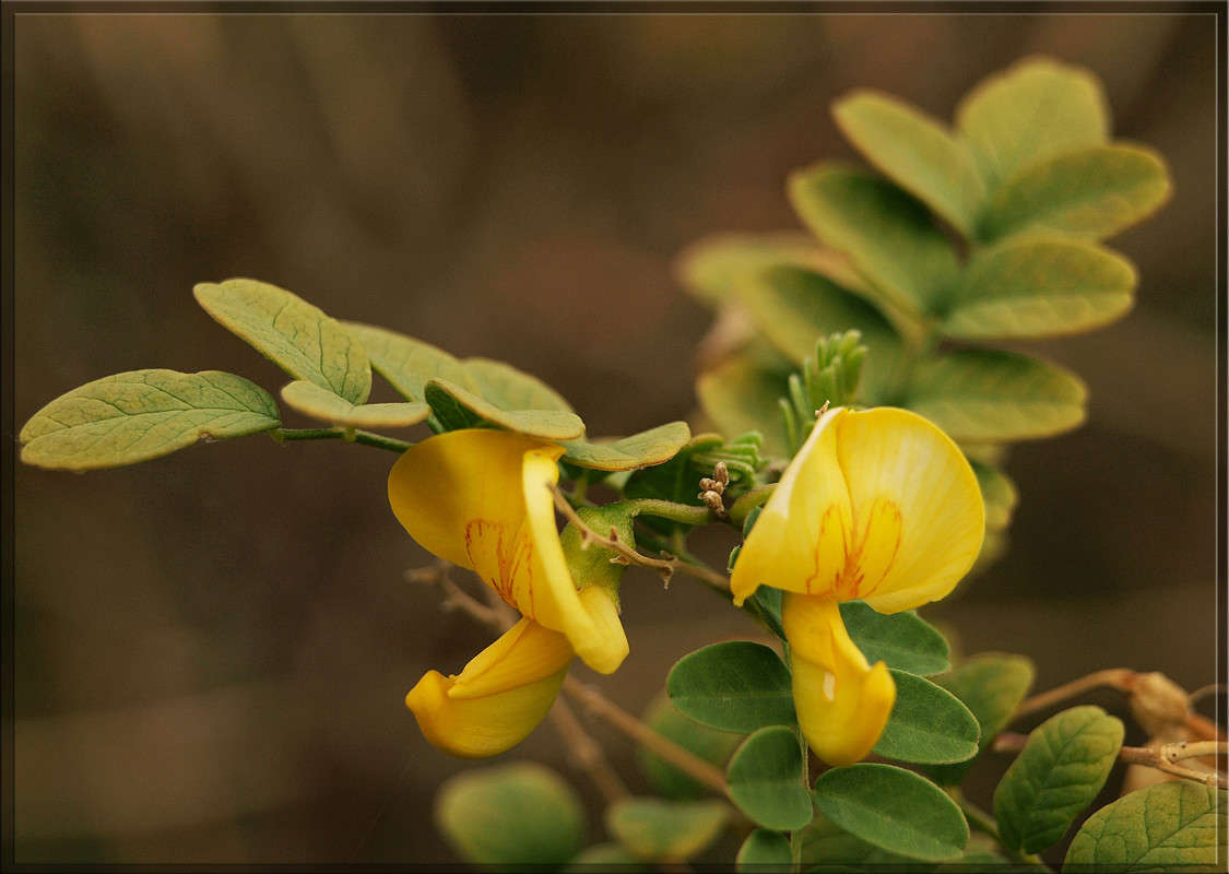 ��������� ������� ����� ������  �� PhotoGeek.ru #������ ��� �������