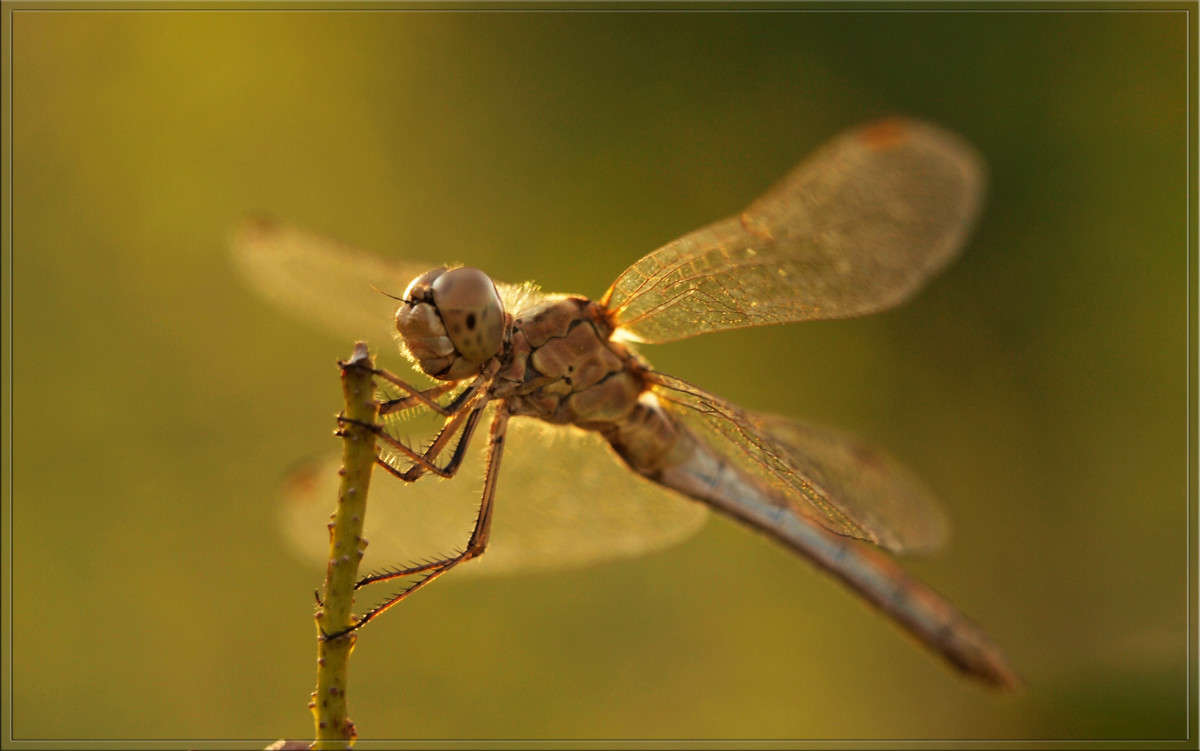 ������� ����.JPG ����� ������  �� PhotoGeek.ru #�����