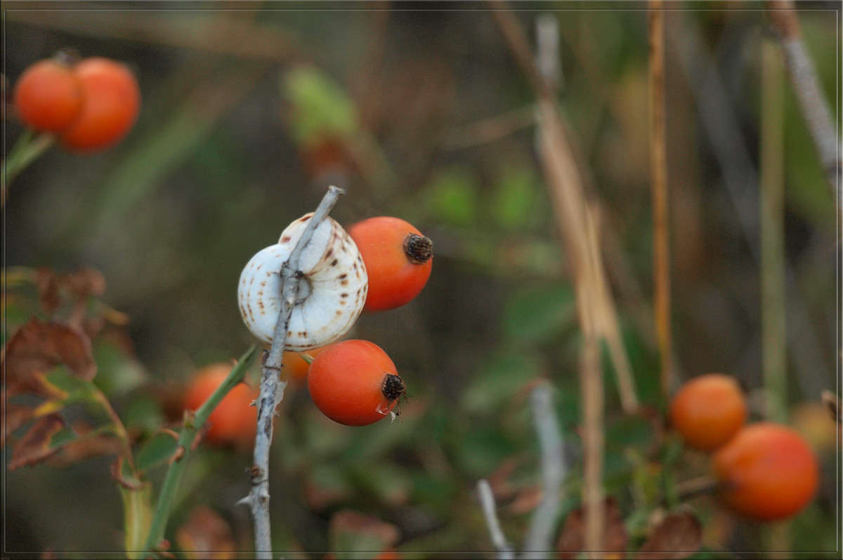 ������ �� ��������� ����� ������  �� PhotoGeek.ru #������ ��� �������