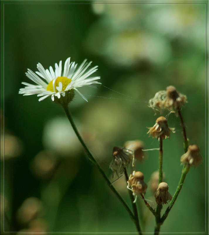 ���������� ����� ����� ����� ������  �� PhotoGeek.ru #������ ��� �������