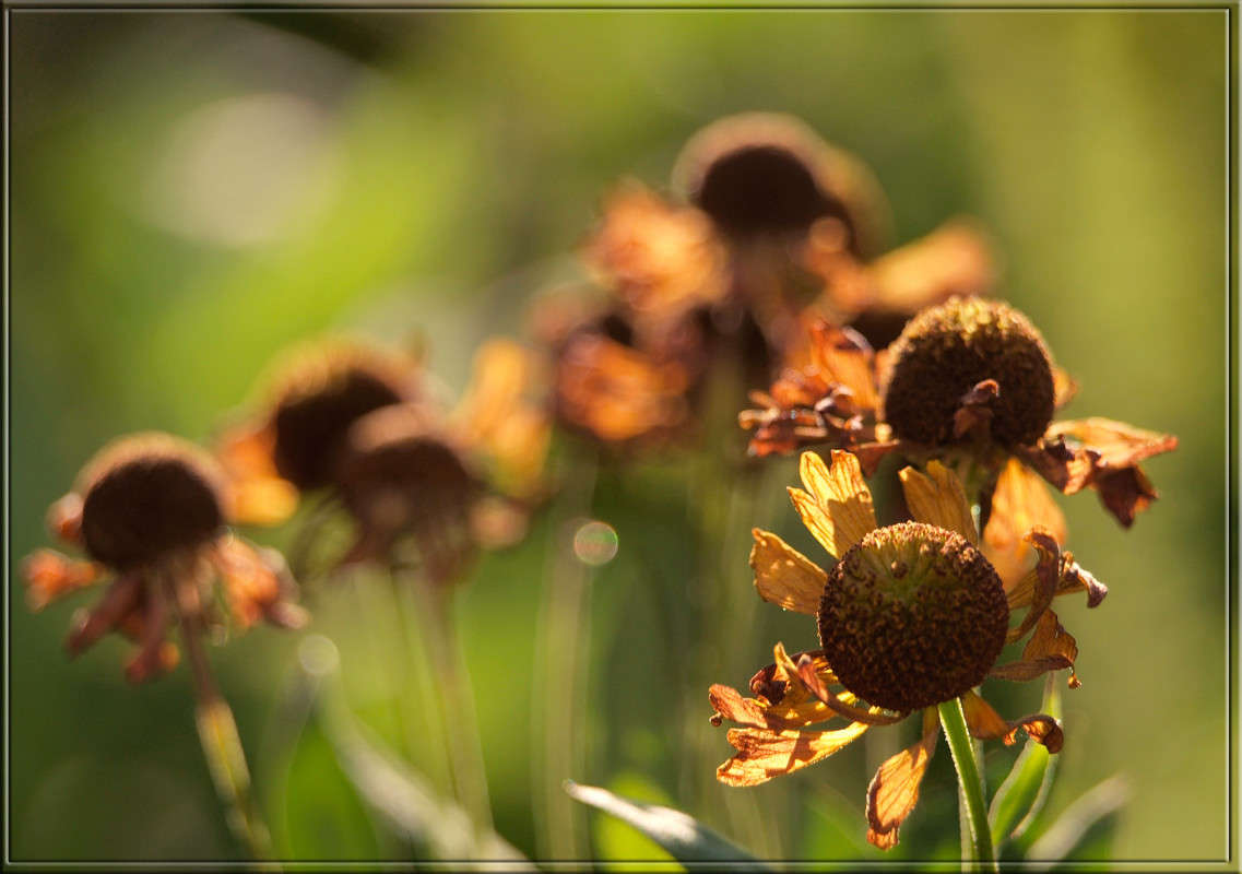 ������ �������� ����� ������  �� PhotoGeek.ru #������ ��� �������