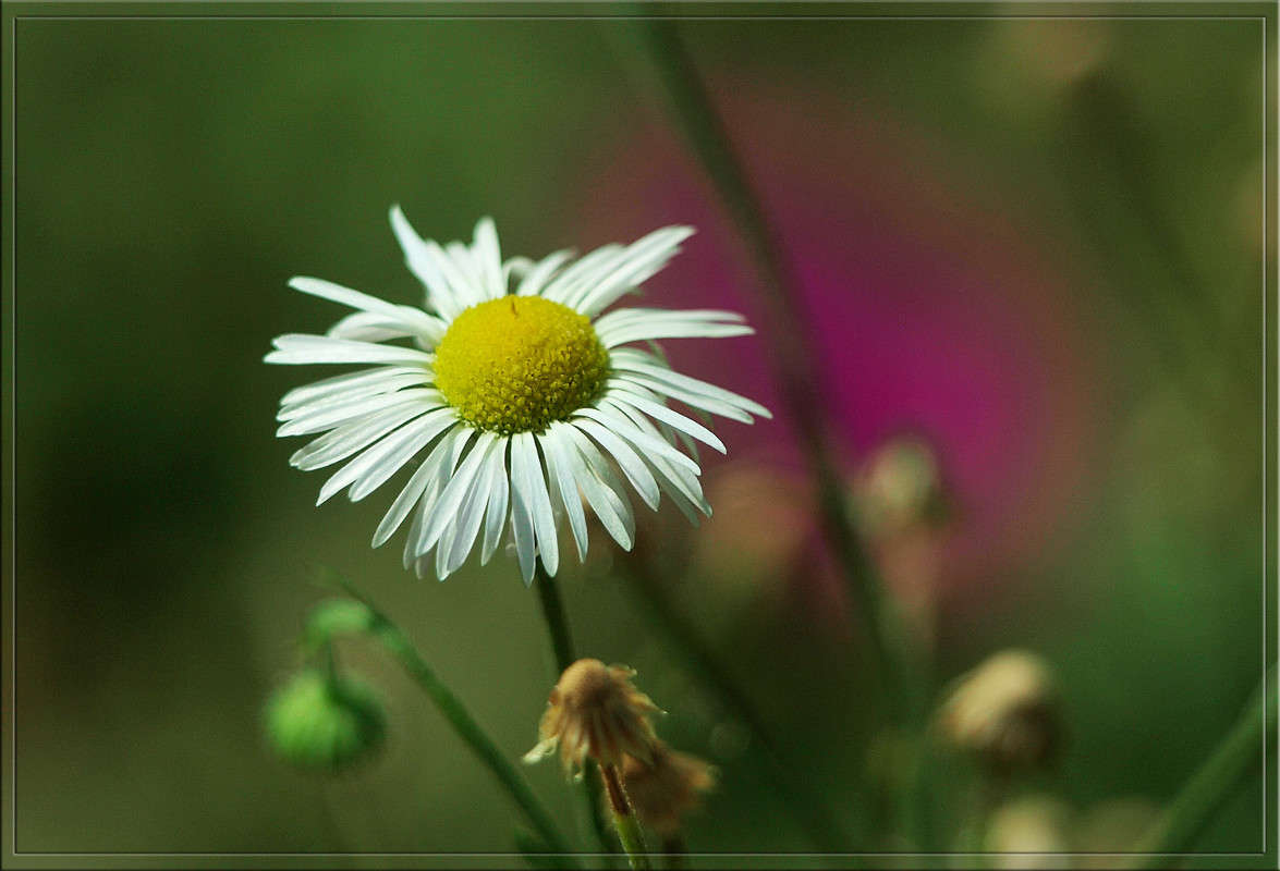 � ����� �������� �������� ����� ������  �� PhotoGeek.ru #������ ��� �������