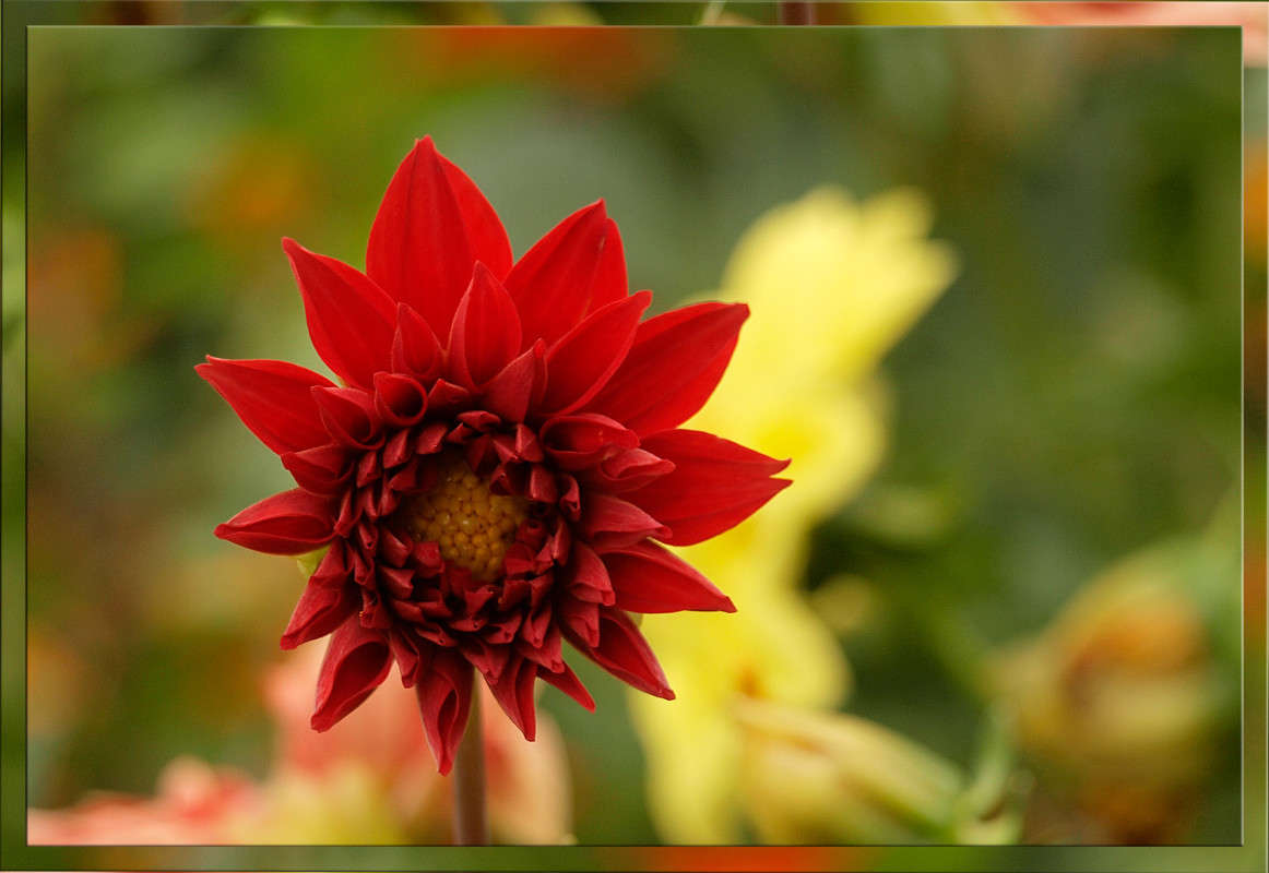 �������� �������� ����� ������  �� PhotoGeek.ru #������ ��� �������