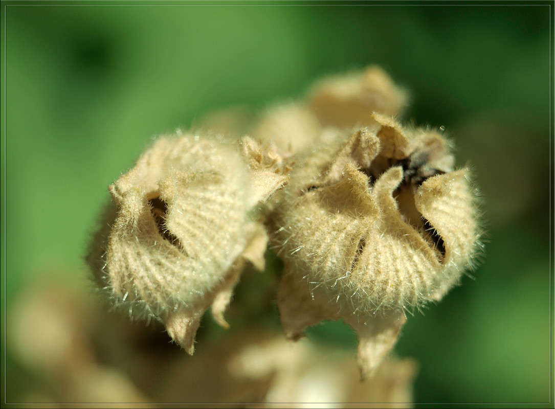 ����� ����� ����� ������  �� PhotoGeek.ru #������ ��� �������