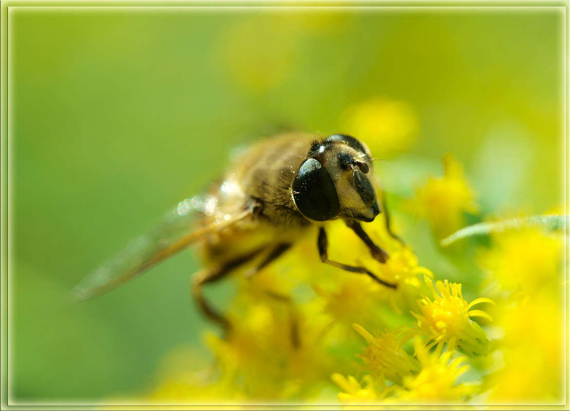 ��������� ����� ������  �� PhotoGeek.ru #�����