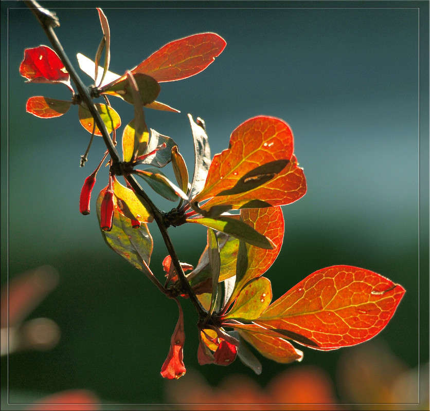 ���������� ���������� ����� ������  �� PhotoGeek.ru #������ ��� �������