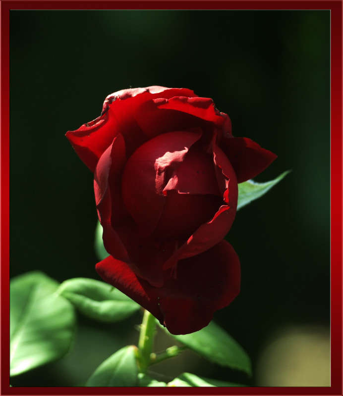 ���������� ����� ������  �� PhotoGeek.ru #������ ��� �������