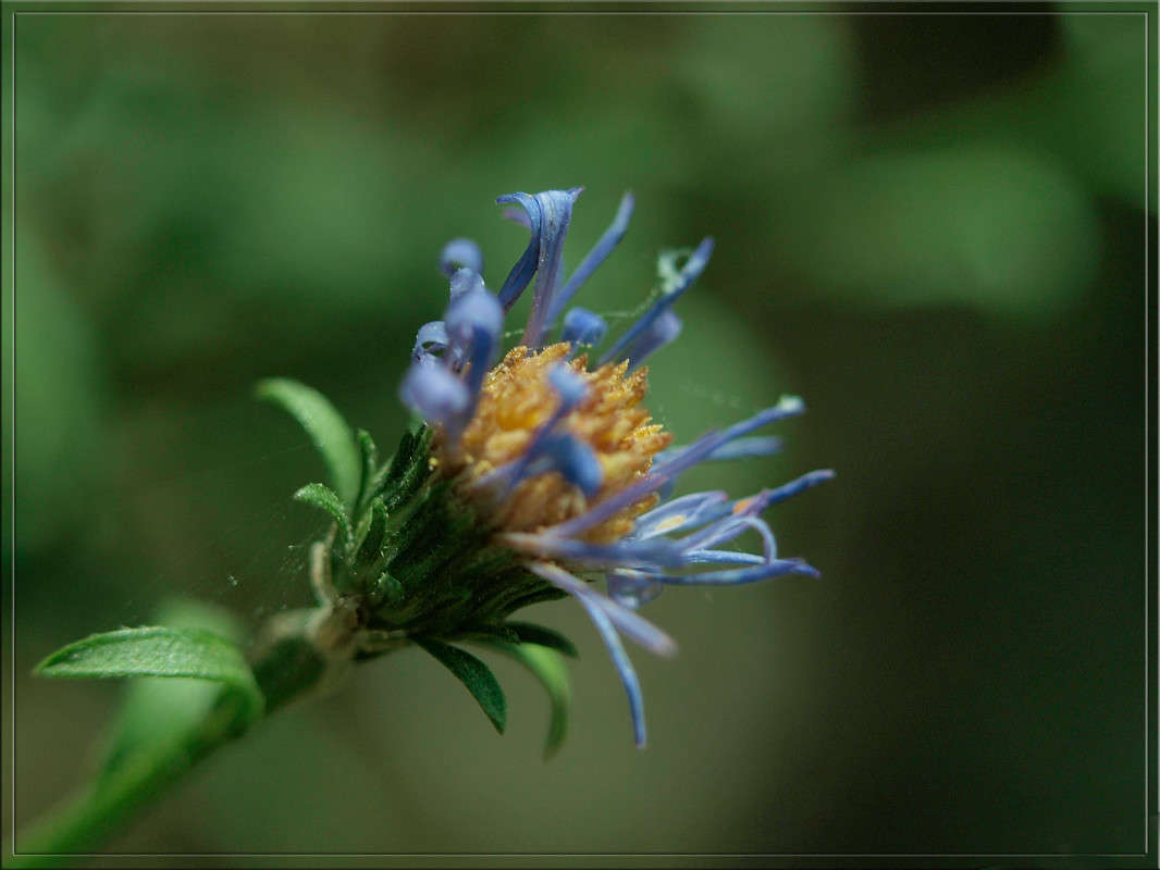 ����� �������� ����� ������  �� PhotoGeek.ru #������ ��� �������