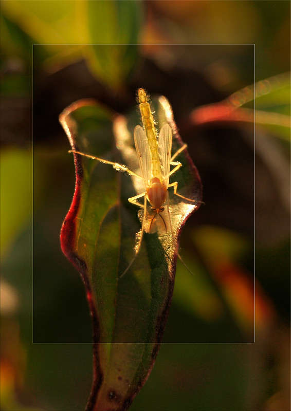 �������� ����� ������  �� PhotoGeek.ru #�����