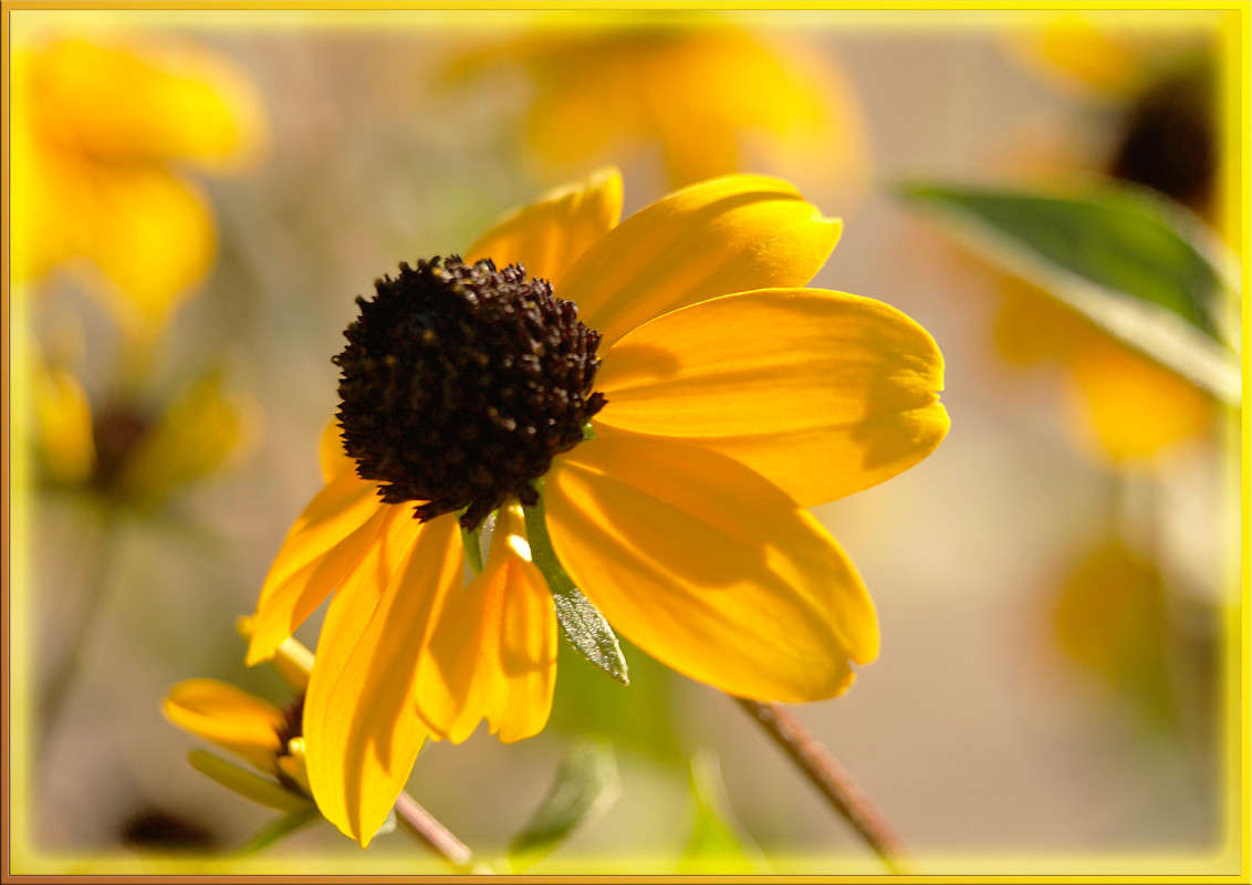 ������ �� ��������� ����� ������  �� PhotoGeek.ru #������ ��� �������