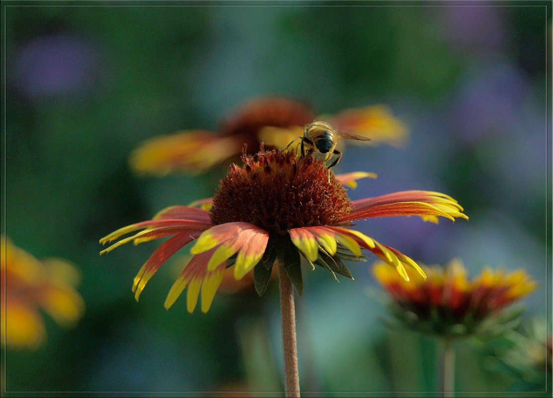 ����������� ������ ����� ������  �� PhotoGeek.ru #������ ��� �������