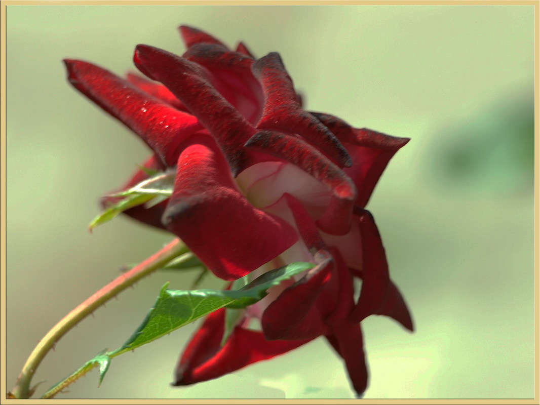 ������������� ����� ������  �� PhotoGeek.ru #������ ��� �������