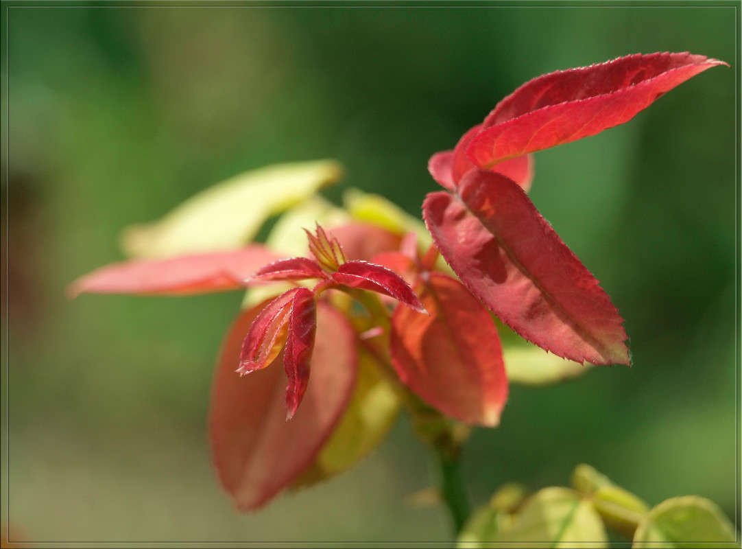 ����� � ������������ ����� ������  �� PhotoGeek.ru #������ ��� �������