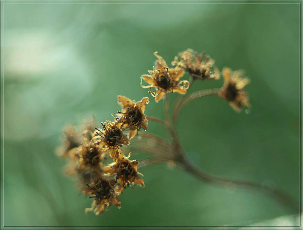 ���� ����� �������� ����� ������  �� PhotoGeek.ru #������ ��� �������