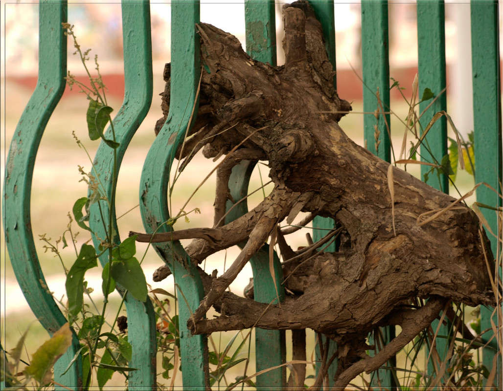 ���� ����� �� ������ ����� ������  �� PhotoGeek.ru #�������� ����������