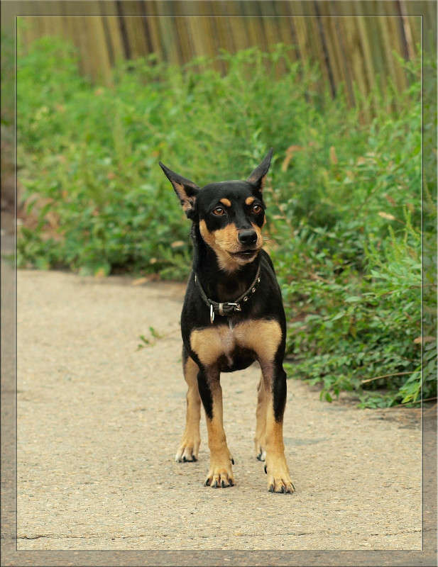 ���������� �� �������� ����� ������  �� PhotoGeek.ru #�������� ���