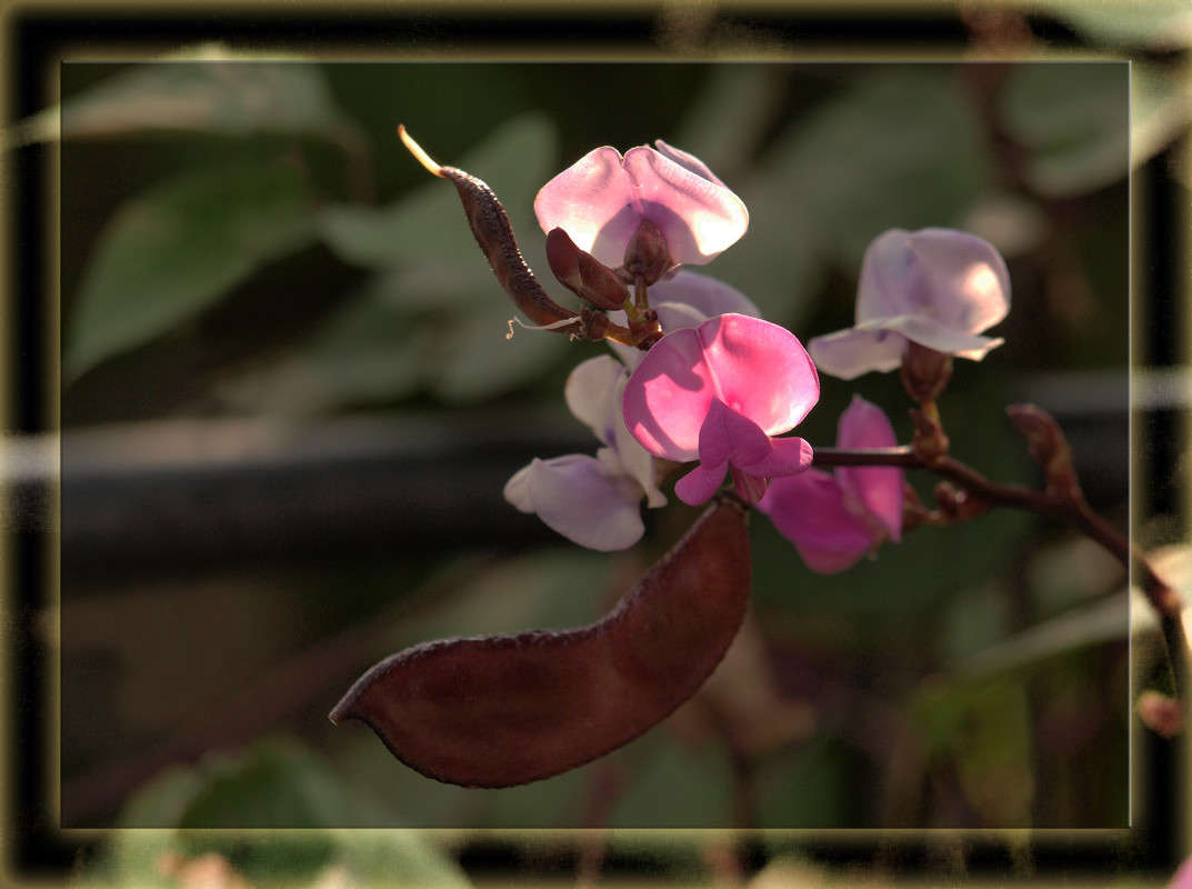 ������� ������������ 2 ����� ������  �� PhotoGeek.ru #������ ��� �������