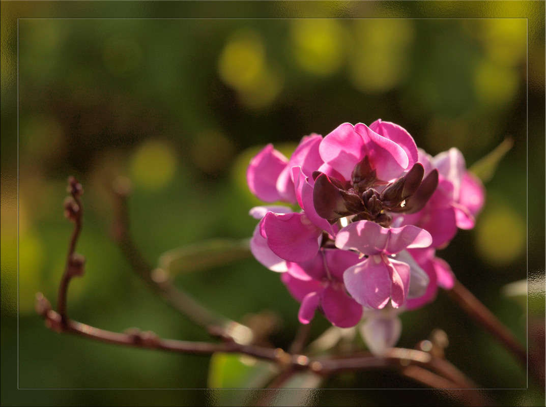 ������� ������������ ����� ������  �� PhotoGeek.ru #������ ��� �������