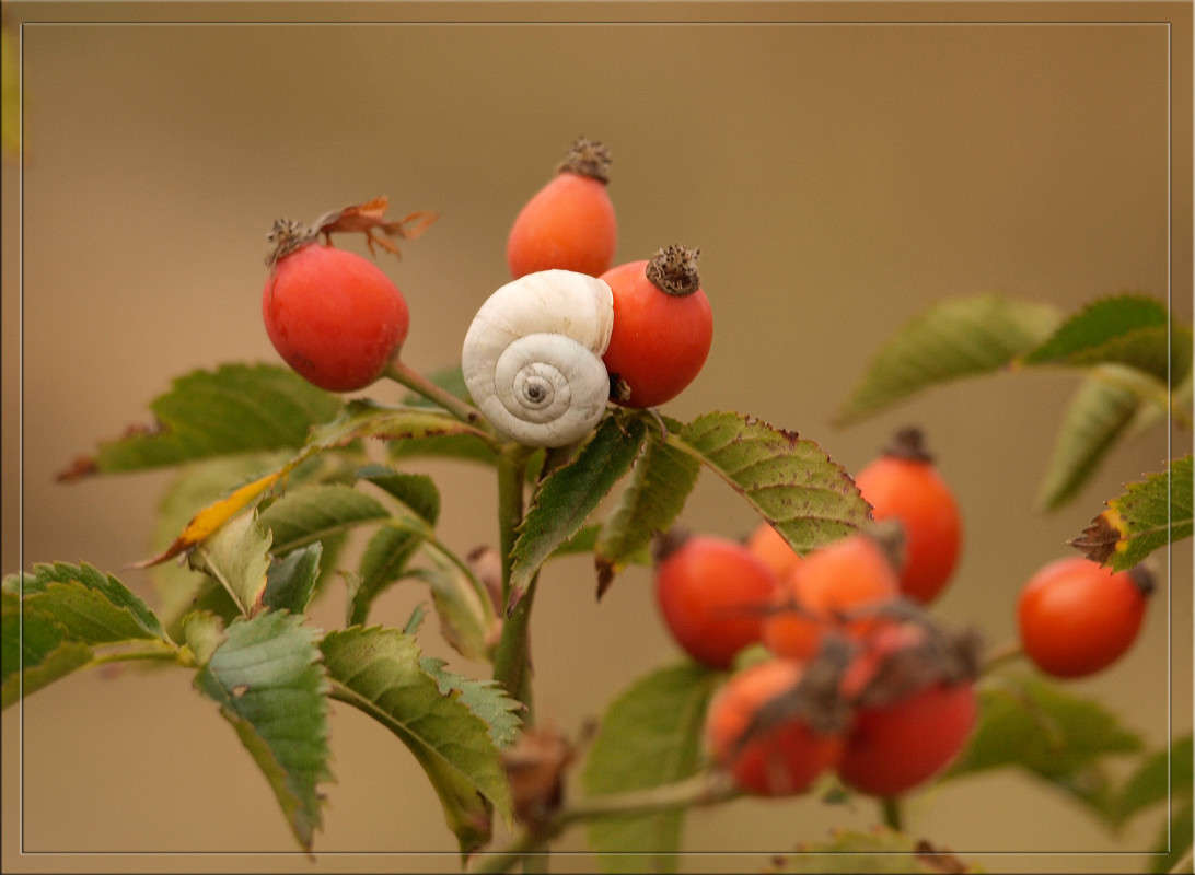 �� ��������� � ����� ������  �� PhotoGeek.ru #������ ��� �������