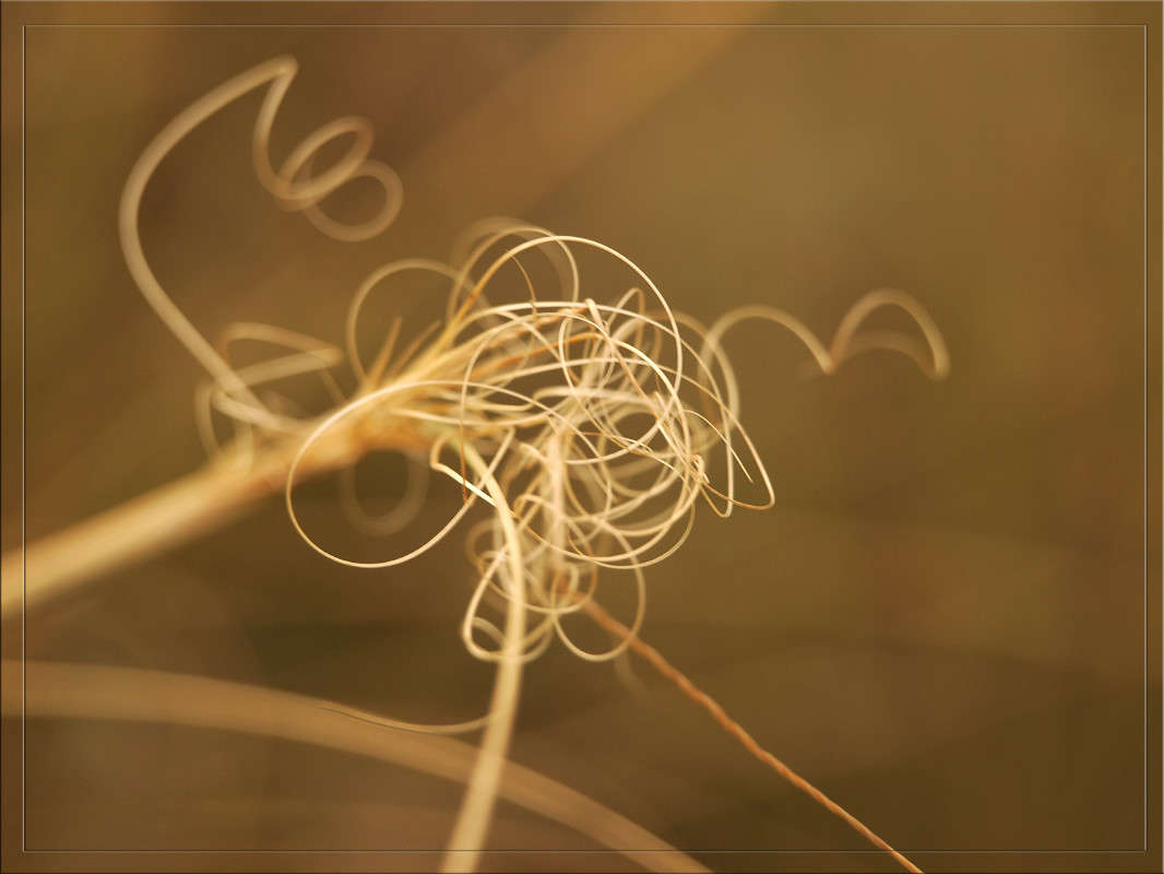 ��������� ����� ������  �� PhotoGeek.ru #������ ��� �������