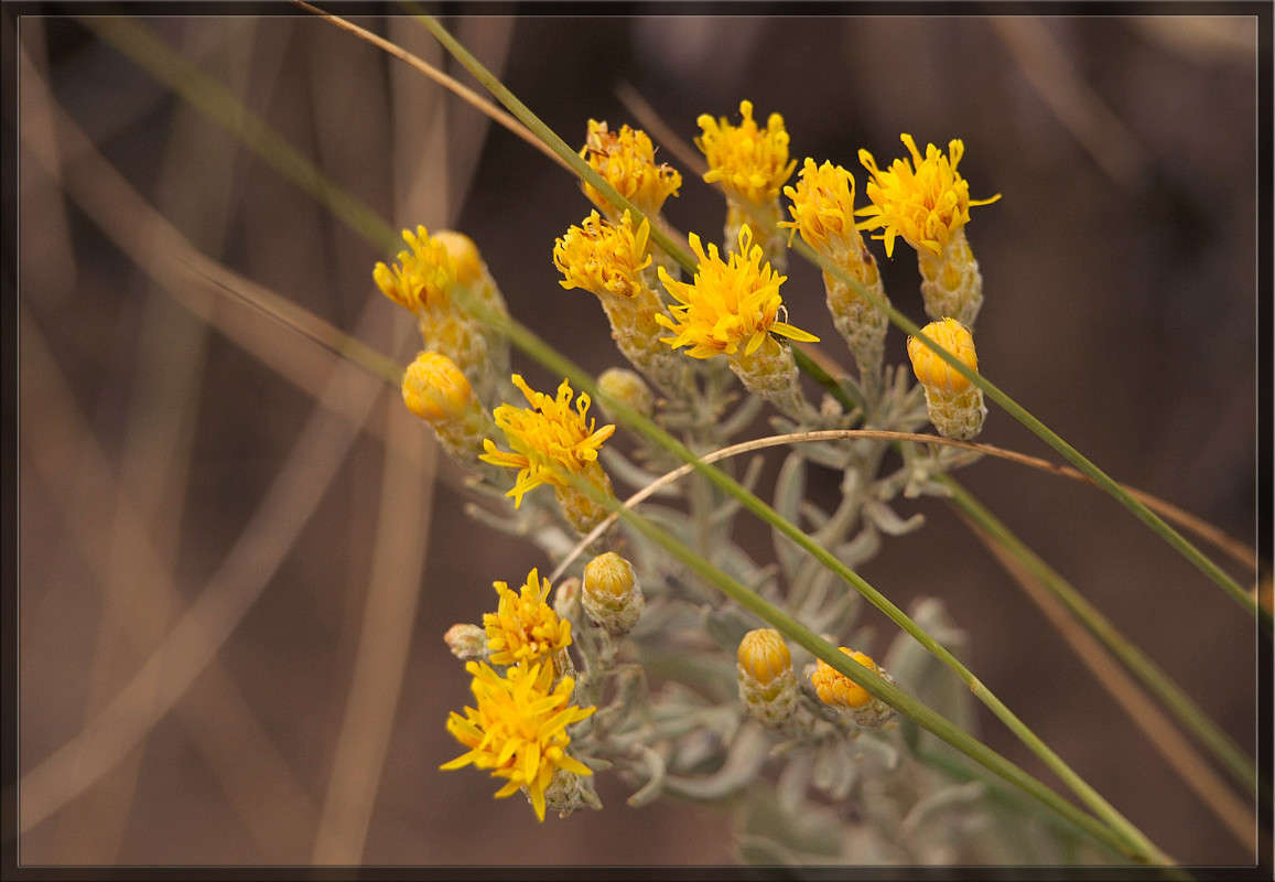 ��������� �������� ����� ������  �� PhotoGeek.ru #������ ��� �������