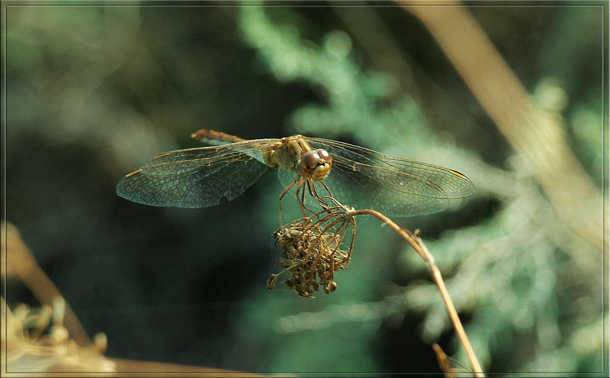 �� �������� ����� ������  �� PhotoGeek.ru #�����