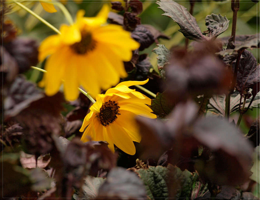 ������ ���� 1 ����� ������  �� PhotoGeek.ru #������ ��� �������