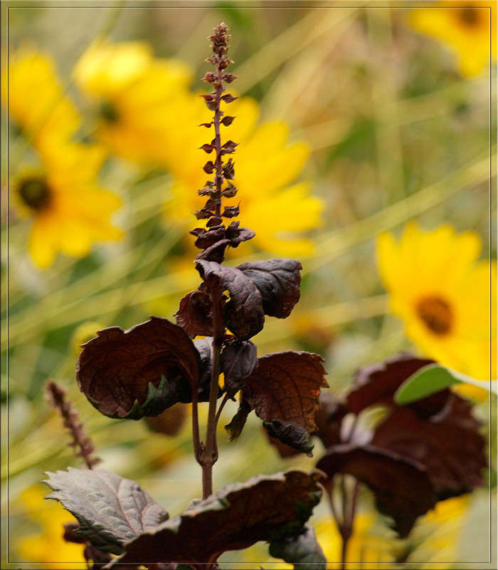 ������ ���� 2 ����� ������  �� PhotoGeek.ru #������ ��� �������