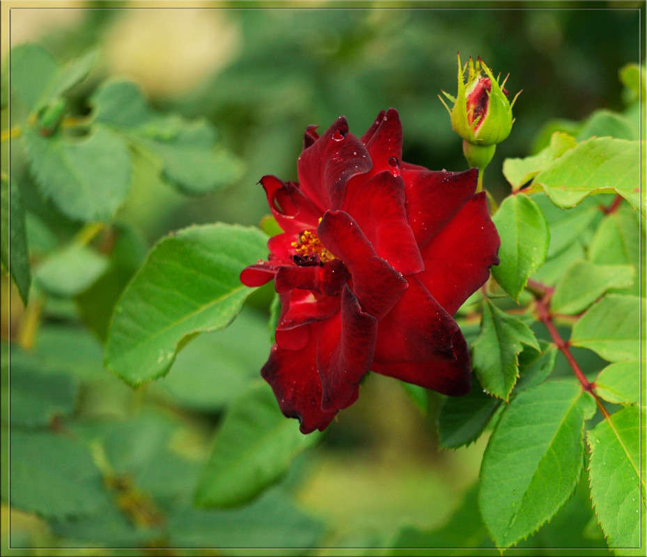 ���� ������� 1 ����� ������  �� PhotoGeek.ru #������ ��� �������