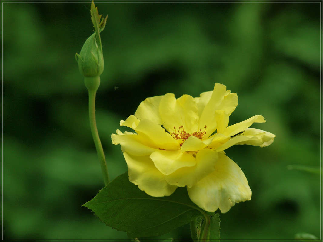 ���� ������� 4 ����� ������  �� PhotoGeek.ru #������ ��� �������