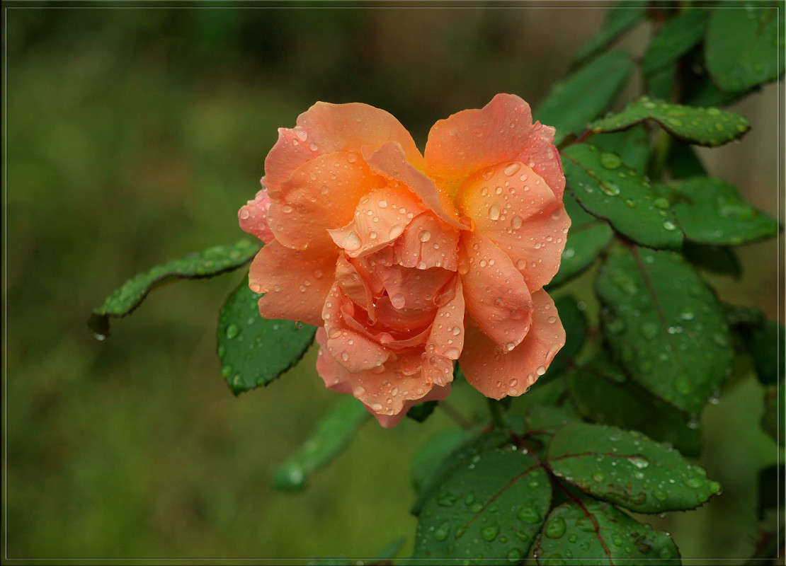 ���� ������� 5 ����� ������  �� PhotoGeek.ru #������ ��� �������