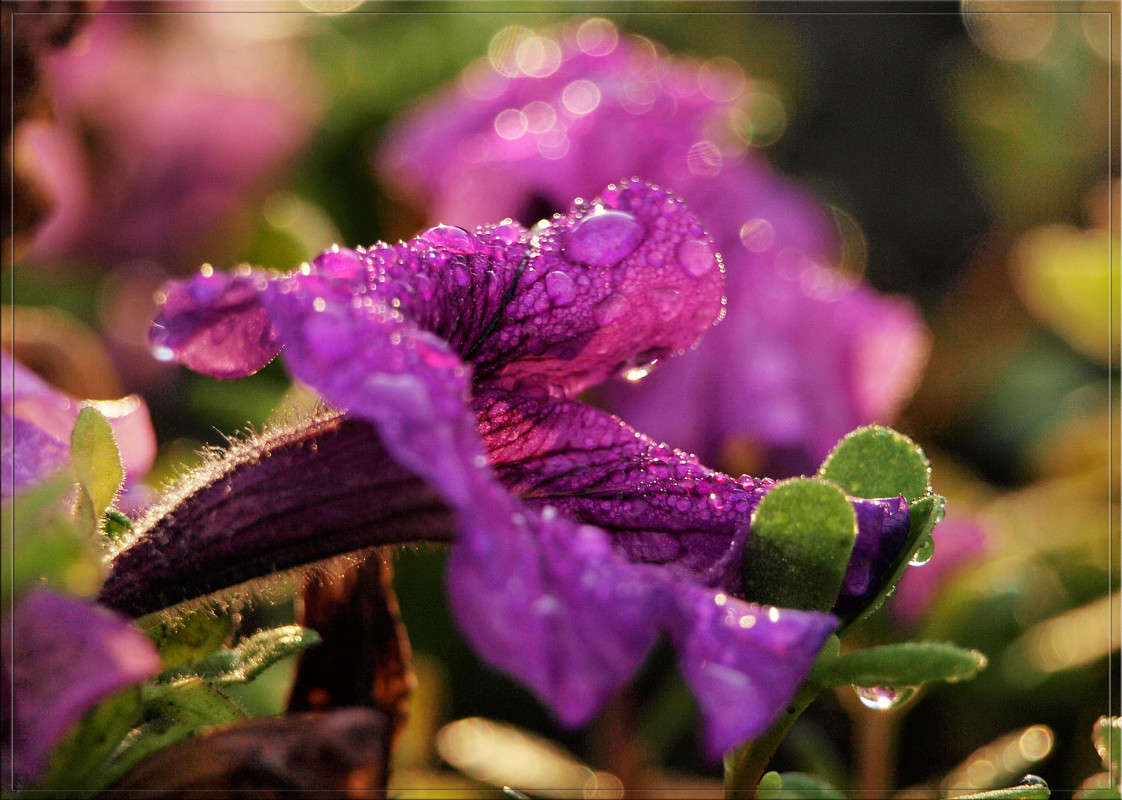 ����� ������ ����� 2 ����� ������  �� PhotoGeek.ru #������ ��� �������