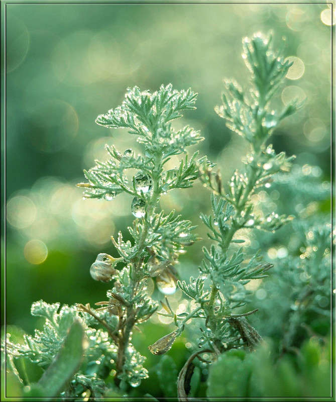 ����� ������ ����� 3 ����� ������  �� PhotoGeek.ru #������ ��� �������