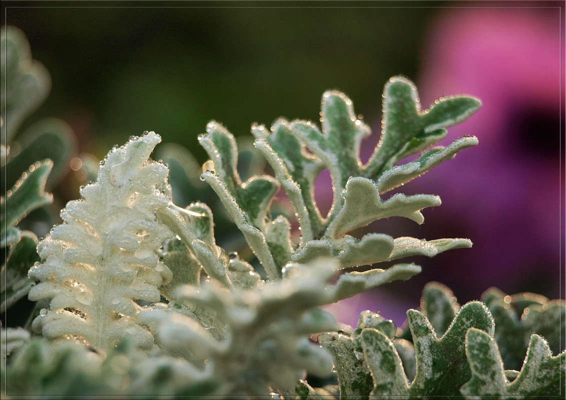 ����� ������ ����� 4.jpg ����� ������  �� PhotoGeek.ru #������ ��� �������