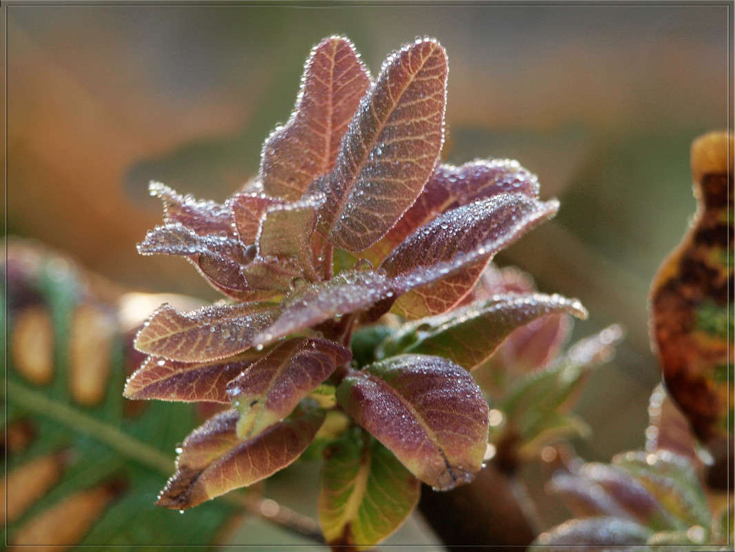 ����� ������ ����� 5 ����� ������  �� PhotoGeek.ru #������ ��� �������