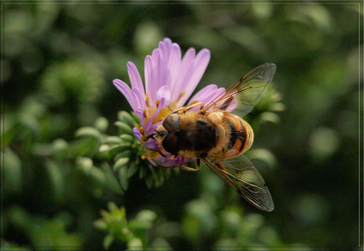 ������ �� ������� ����� ������  �� PhotoGeek.ru #�����