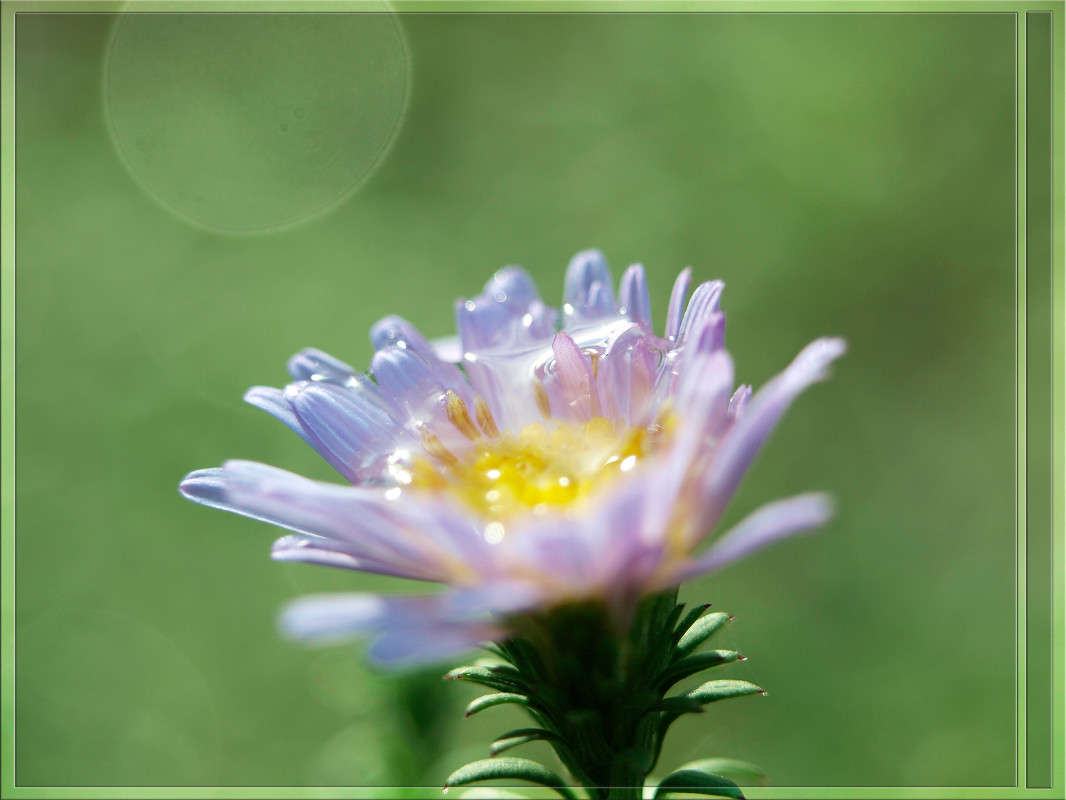 ���� ����� ������� ����� ������  �� PhotoGeek.ru #������ ��� �������