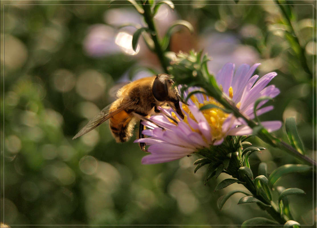 ��������� ������� ����� ������  �� PhotoGeek.ru #�����