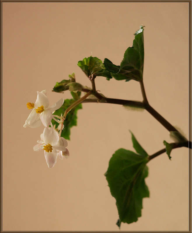 ��������� ����� ������  �� PhotoGeek.ru #�������� ����������