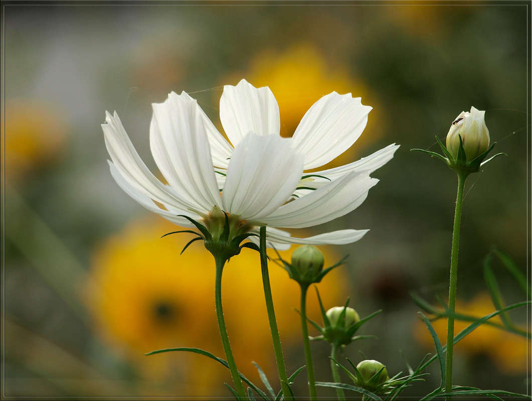 �������� ��������� � ������� ����� ������  �� PhotoGeek.ru #������ ��� �������