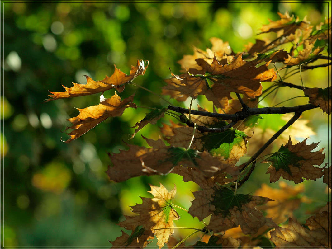 ������ ����� ����� ������  �� PhotoGeek.ru #������ ��� �������