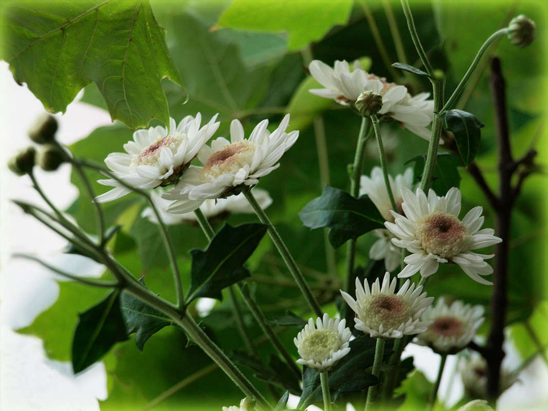 �������� ������ ����� ������  �� PhotoGeek.ru #�������� ����������